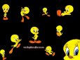 Tweety Bird