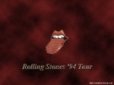 Rolling Stones 1994 Tour.